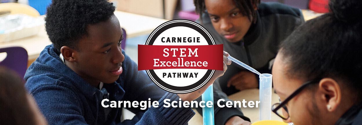 Carnegie Banner
